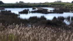(2015-04) -25- Guérande